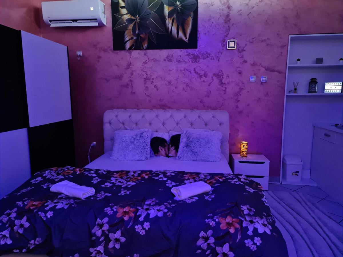 Apartman -Harmony- Paracin Ngoại thất bức ảnh